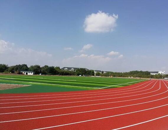 塑膠跑道 塑膠跑道