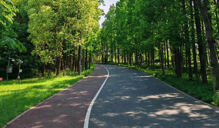 自行車(chē)綠道施工需要注意些什么？